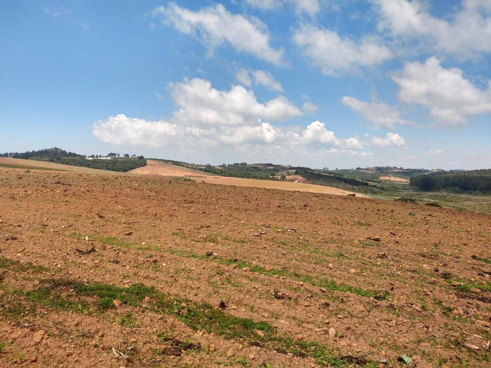 Fazenda em Toledo/Minas Gerais — Ref SP8UJJ — Imagem 26