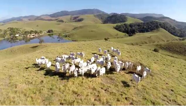 Fazenda em Caçapava/São Paulo — Ref 6YH8RV — Imagem 3