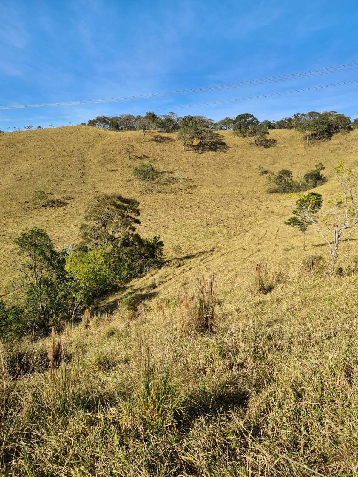 Fazenda em Igaratá/São Paulo — Ref HAW16Q — Imagem 3