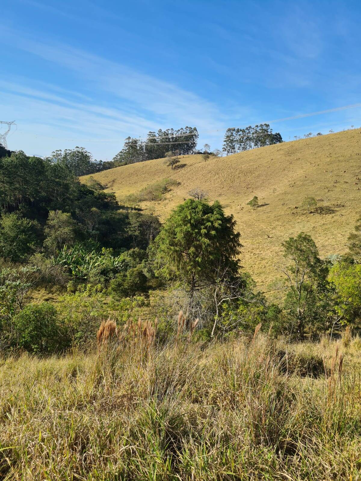 Fazenda em Igaratá/São Paulo — Ref HAW16Q — Imagem 4