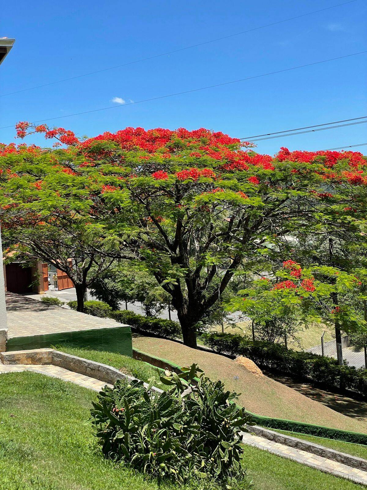 Chácara em Mairiporã/São Paulo — Ref OH07TV — Imagem 20