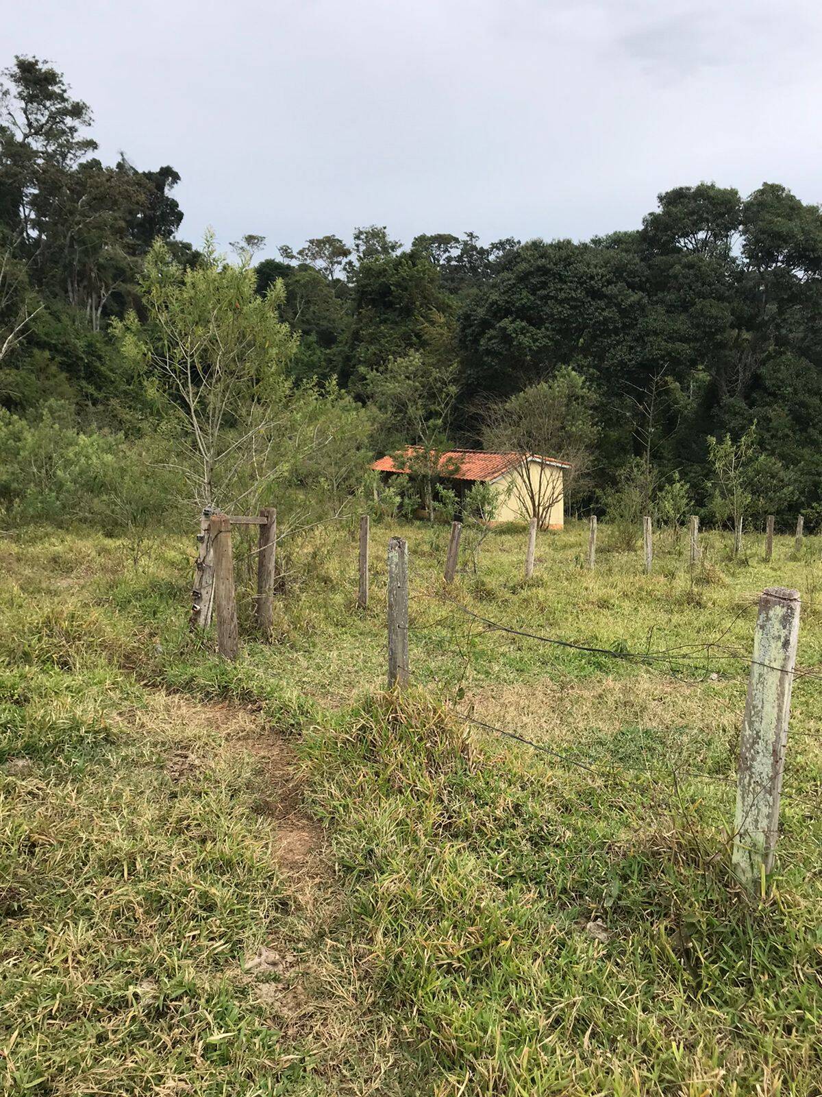 Sítio em Tuiuti/São Paulo — Ref VPYU18 — Imagem 4