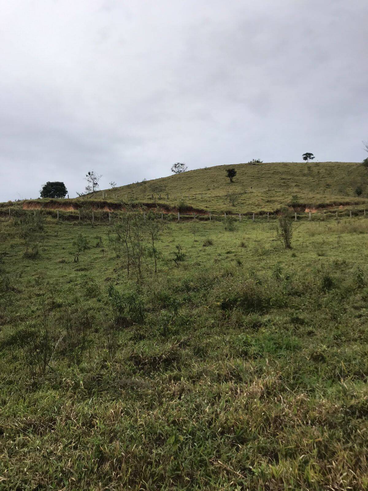 Sítio em Tuiuti/São Paulo — Ref VPYU18 — Imagem 6