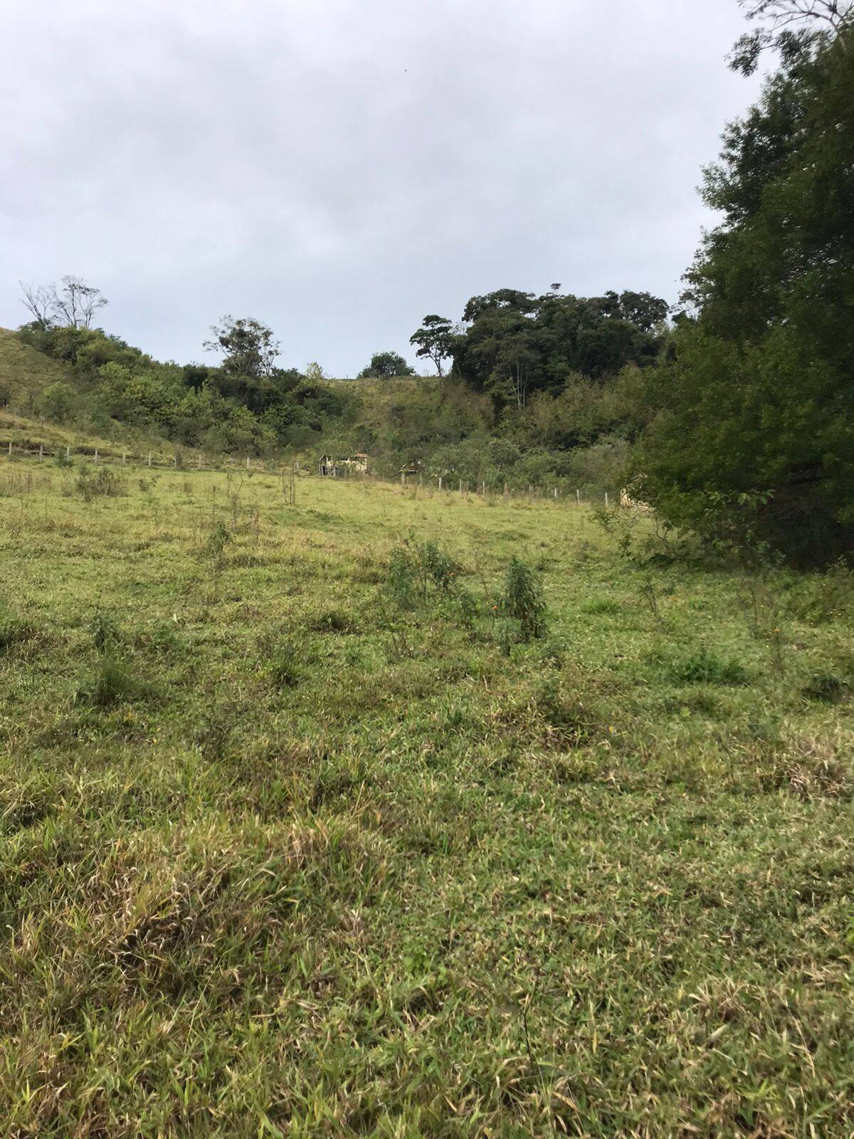 Sítio em Tuiuti/São Paulo — Ref VPYU18 — Imagem 7