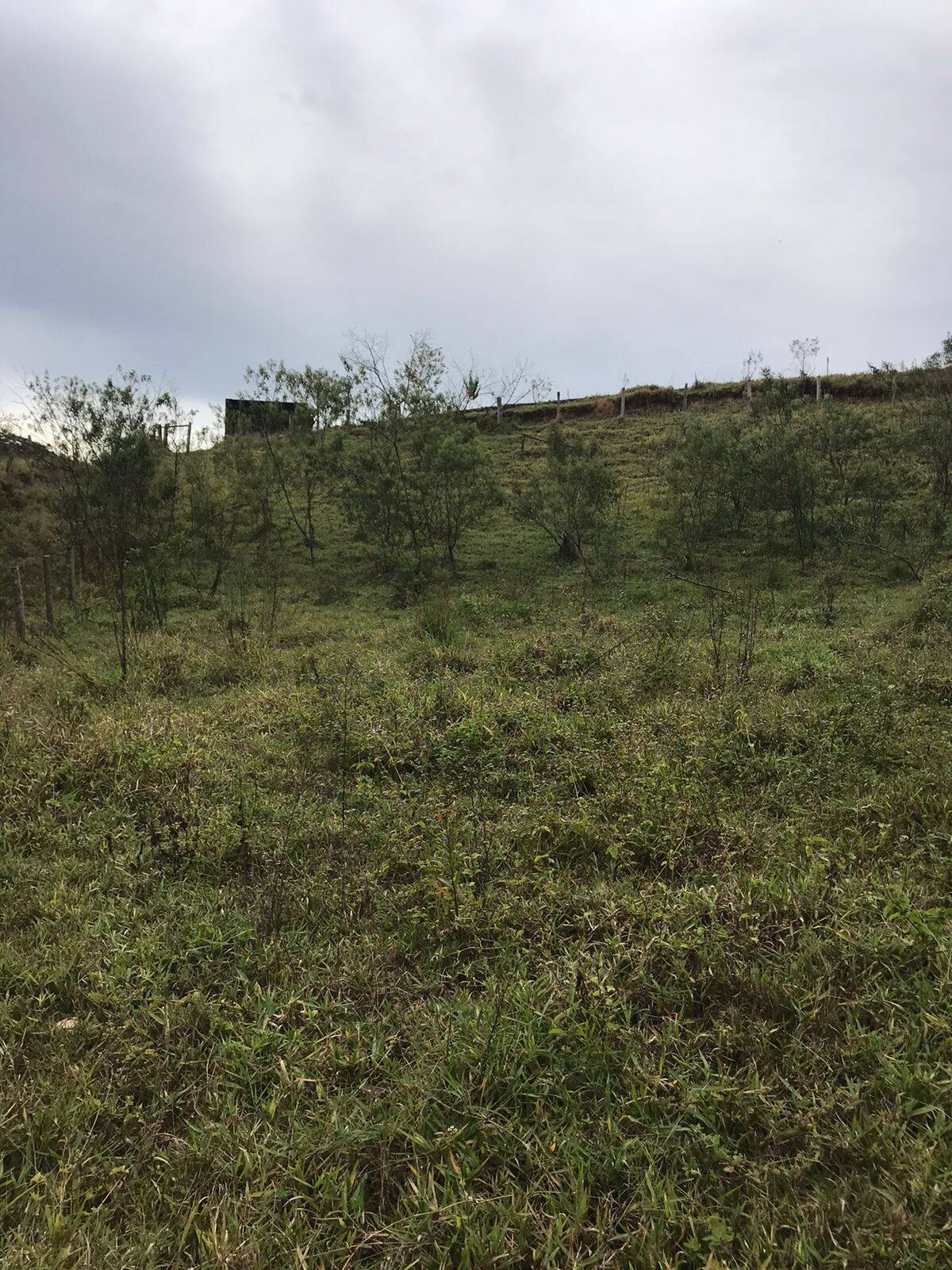 Sítio em Tuiuti/São Paulo — Ref VPYU18 — Imagem 9