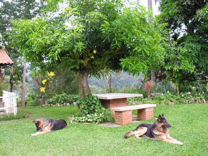 Chácara em Mairiporã/São Paulo — Ref 87XK12 — Imagem 28