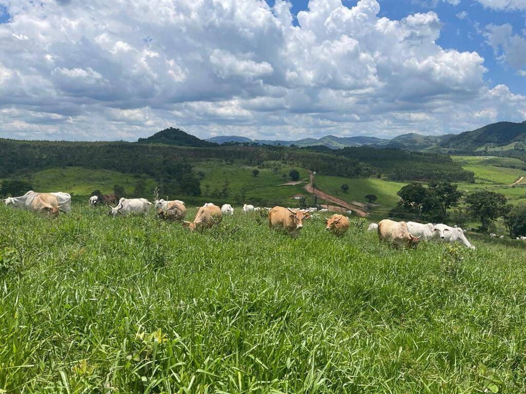 Fazenda em Jacutinga/Minas Gerais — Ref RAWAOB — Imagem 2