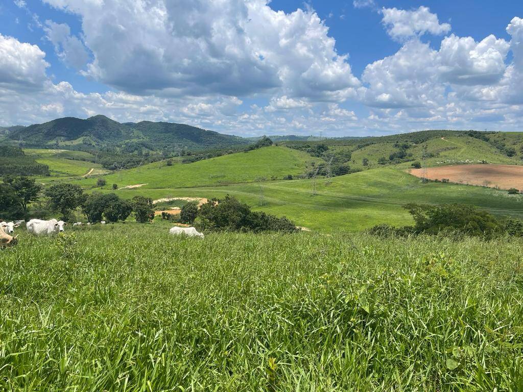 Fazenda em Jacutinga/Minas Gerais — Ref RAWAOB — Imagem 3