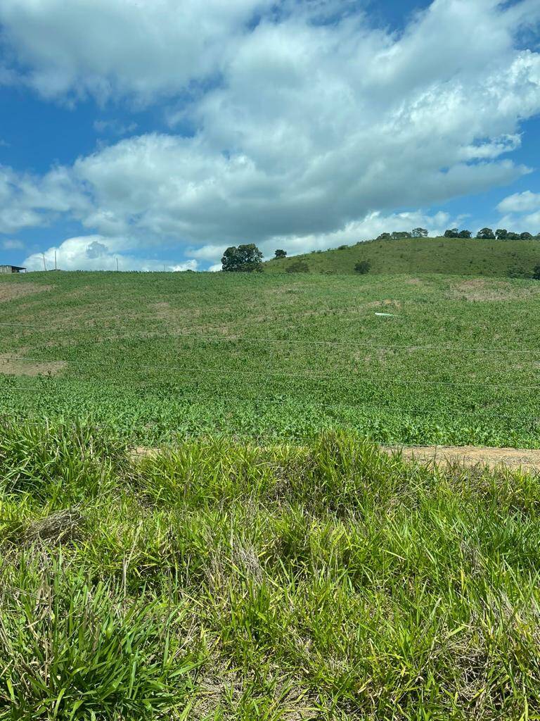 Fazenda em Jacutinga/Minas Gerais — Ref RAWAOB — Imagem 6