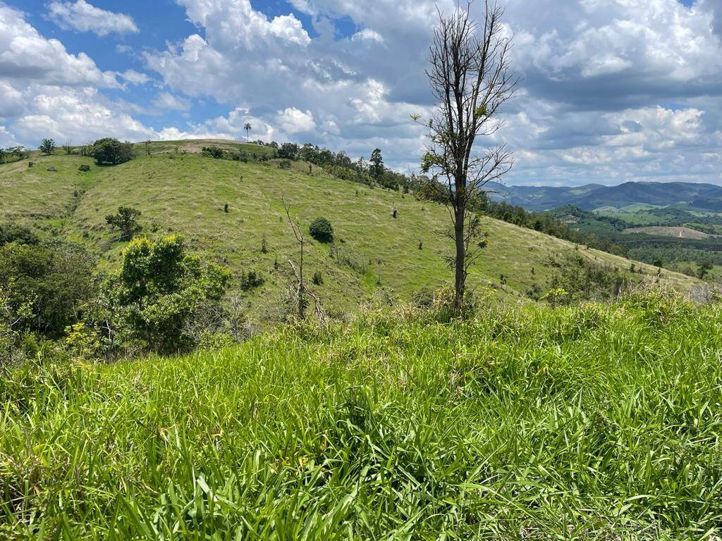 Fazenda em Jacutinga/Minas Gerais — Ref RAWAOB — Imagem 7