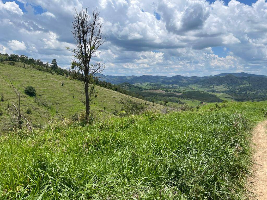 Fazenda em Jacutinga/Minas Gerais — Ref RAWAOB — Imagem 10