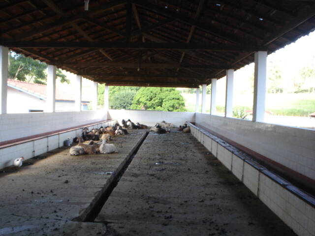 Fazenda em Cachoeira Paulista/São Paulo — Ref QNWFDV — Imagem 14