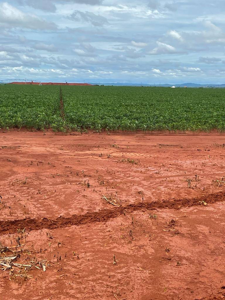 Fazenda em João Pinheiro/Minas Gerais — Ref 45JNGQ — Imagem 3