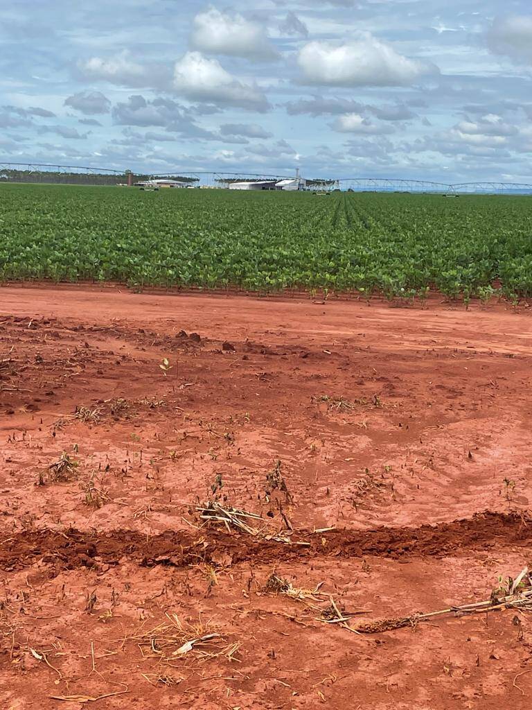 Fazenda em João Pinheiro/Minas Gerais — Ref 45JNGQ — Imagem 8