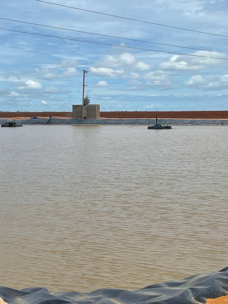 Fazenda em João Pinheiro/Minas Gerais — Ref 45JNGQ — Imagem 10
