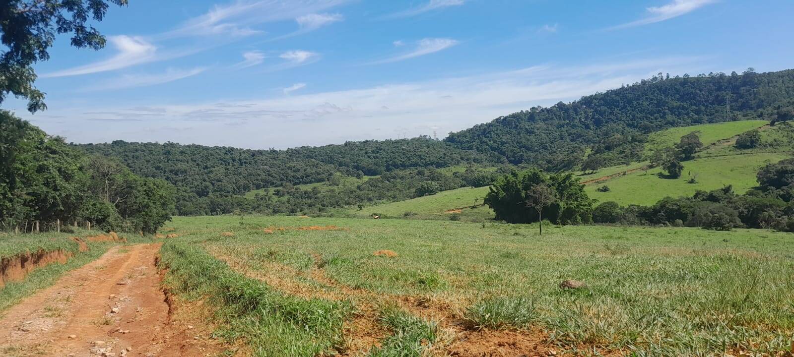 #2345 - Área para Venda em Atibaia - SP