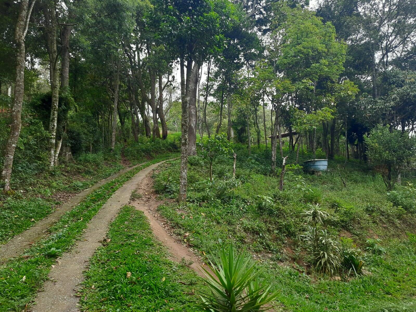 Chácara em Mairiporã/São Paulo — Ref B9EEYL — Imagem 13