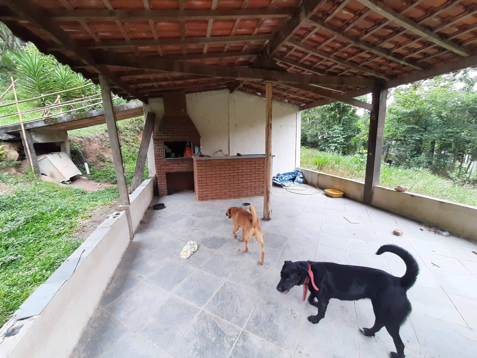 Chácara em Mairiporã/São Paulo — Ref B9EEYL — Imagem 23