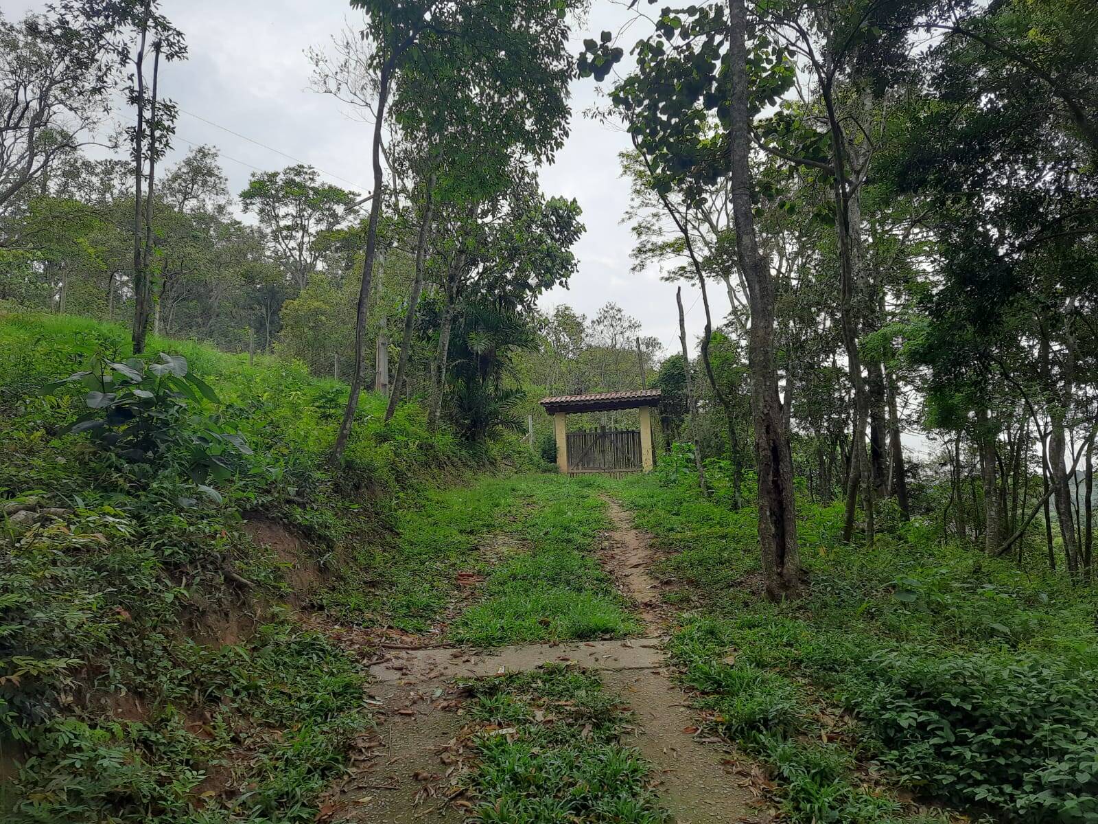 Chácara em Mairiporã/São Paulo — Ref B9EEYL — Imagem 25
