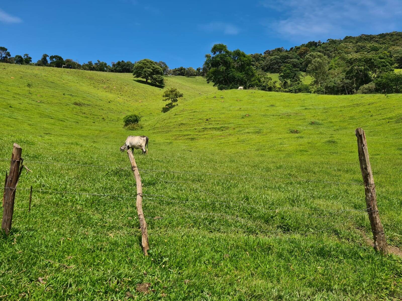 Sítio em Piracaia/São Paulo — Ref I7CMNV — Imagem 4