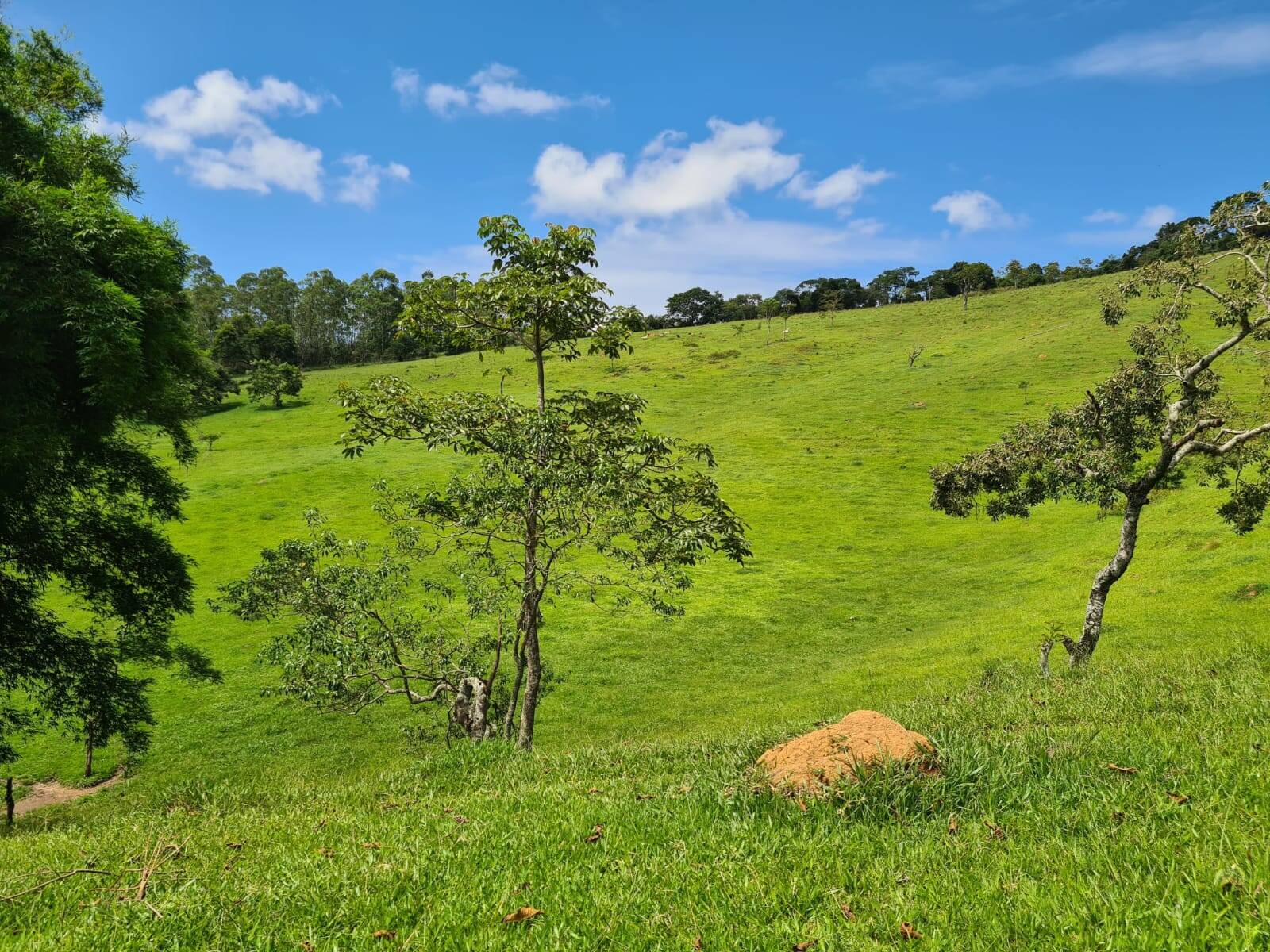 Sítio em Piracaia/São Paulo — Ref I7CMNV — Imagem 8