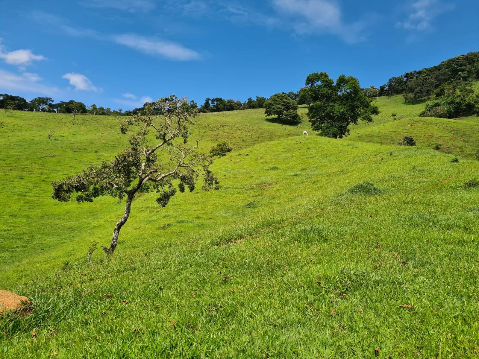Sítio em Piracaia/São Paulo — Ref I7CMNV — Imagem 7