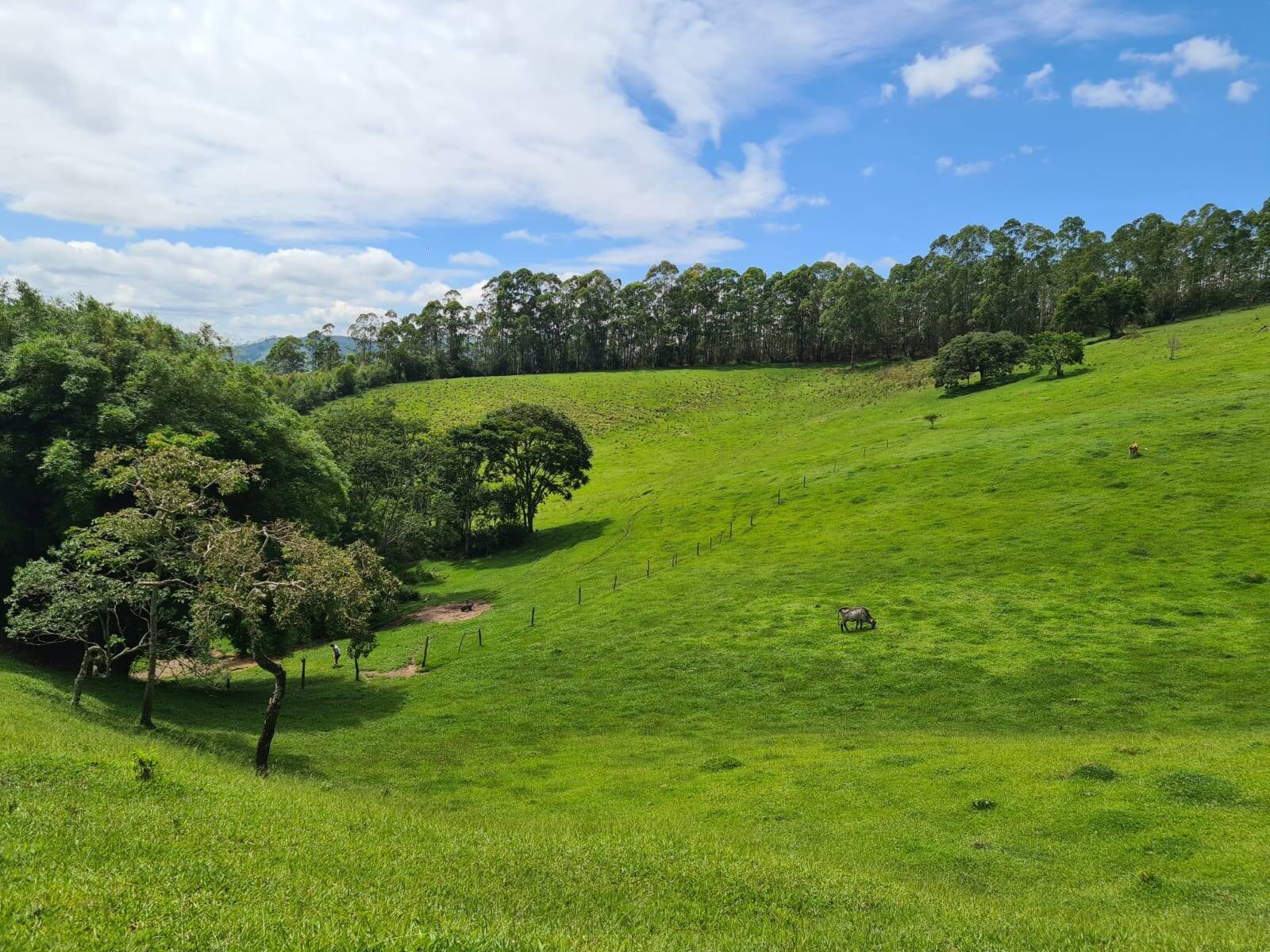 Sítio em Piracaia/São Paulo — Ref I7CMNV — Imagem 9