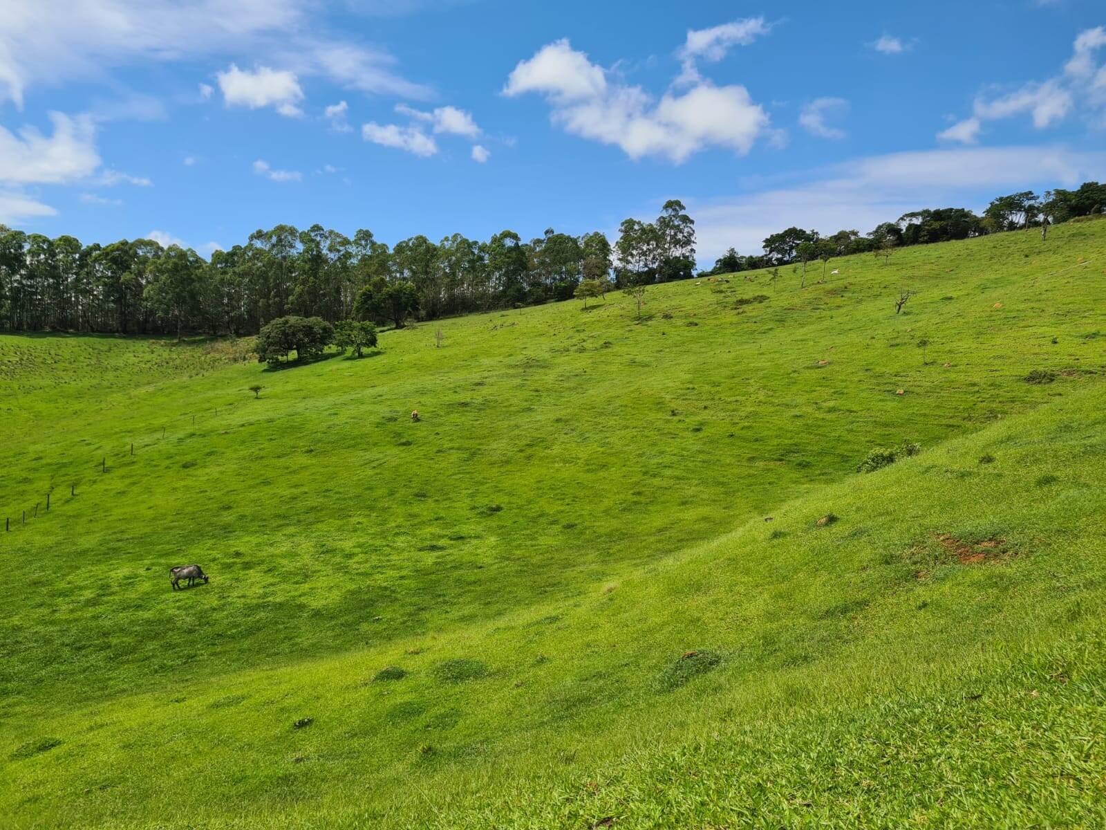 Sítio em Piracaia/São Paulo — Ref I7CMNV — Imagem 10