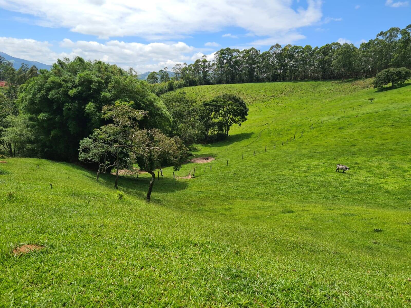 Sítio em Piracaia/São Paulo — Ref I7CMNV — Imagem 11