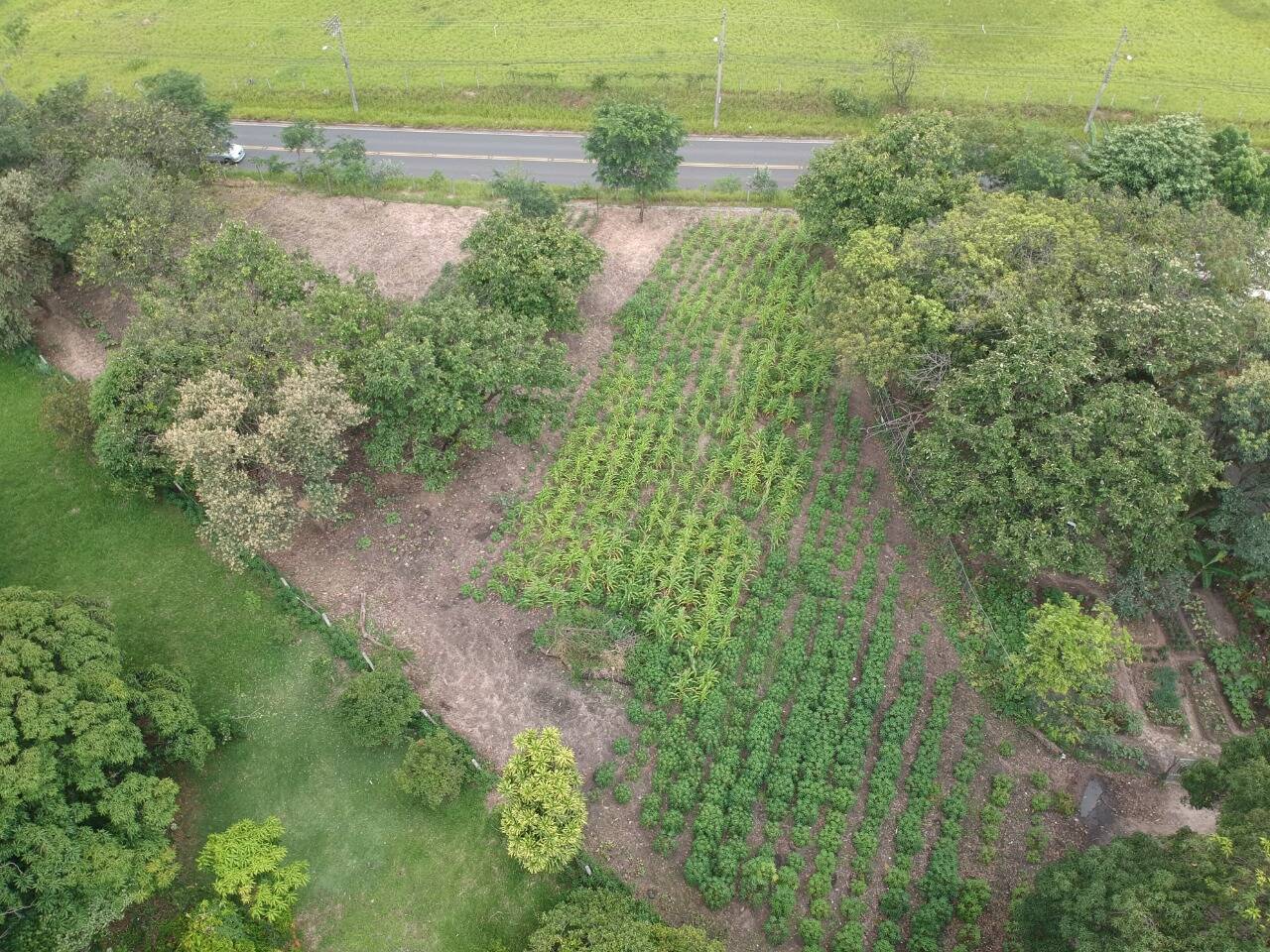 Chácara em Campinas/São Paulo — Ref DD9S79 — Imagem 7