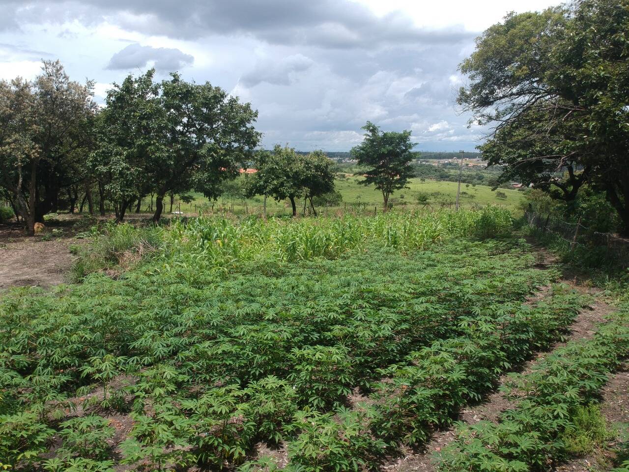 Chácara em Campinas/São Paulo — Ref DD9S79 — Imagem 8