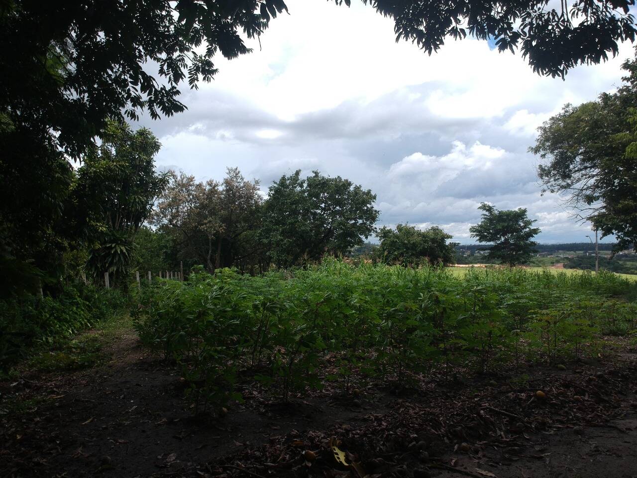 Chácara em Campinas/São Paulo — Ref DD9S79 — Imagem 11