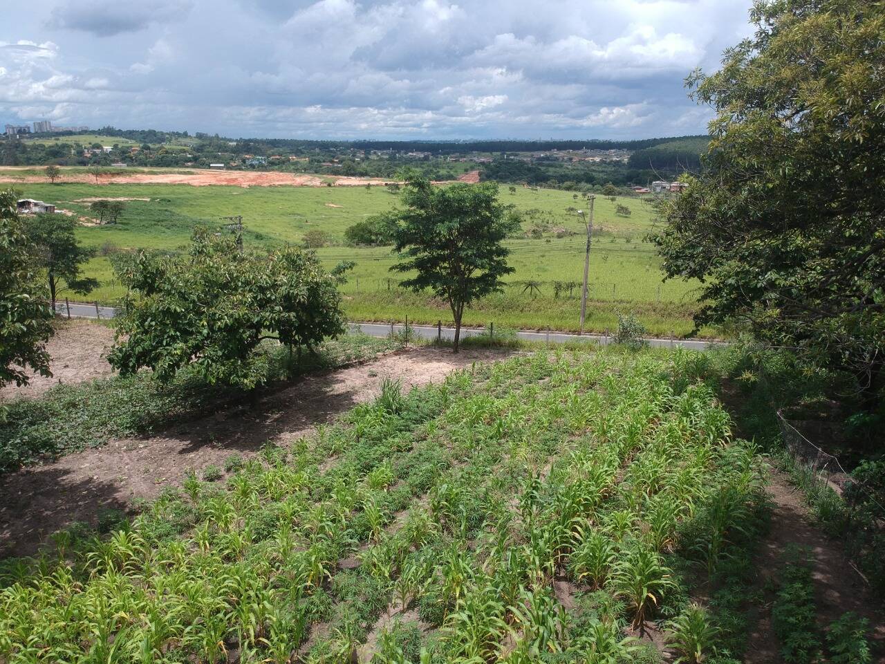 Chácara em Campinas/São Paulo — Ref DD9S79 — Imagem 12