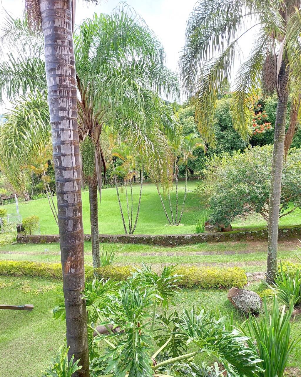 Sítio em Socorro/São Paulo — Ref QZIRKI — Imagem 25