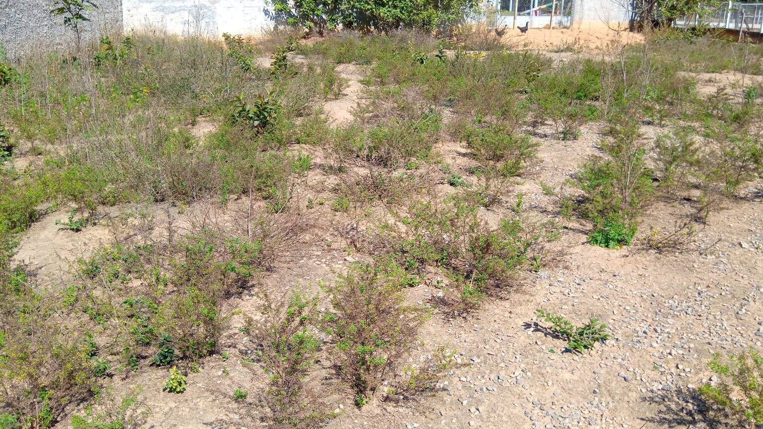 #2460 - Terreno para Venda em Nazaré Paulista - SP