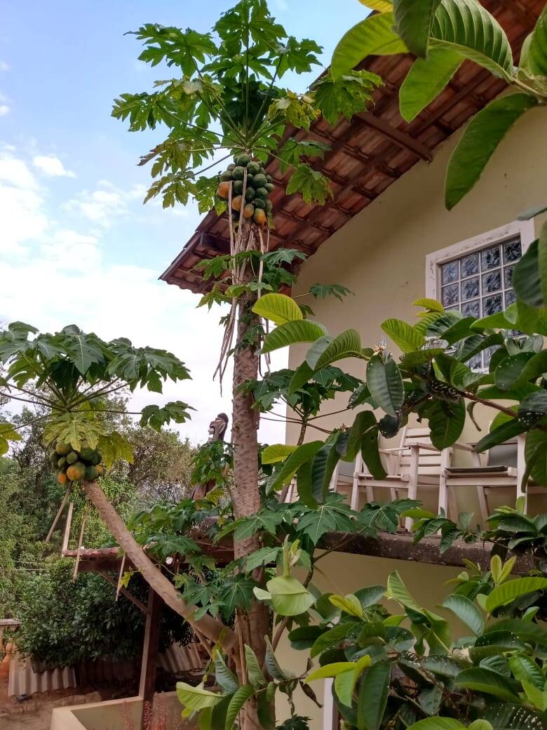 Chácara em Mairiporã/São Paulo — Ref P4E9OO — Imagem 19