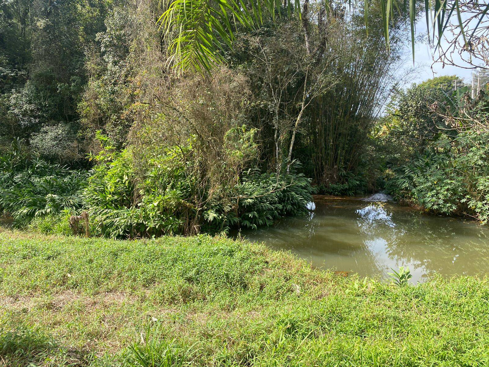 Chácara em Joanópolis/São Paulo — Ref V73DX6 — Imagem 4