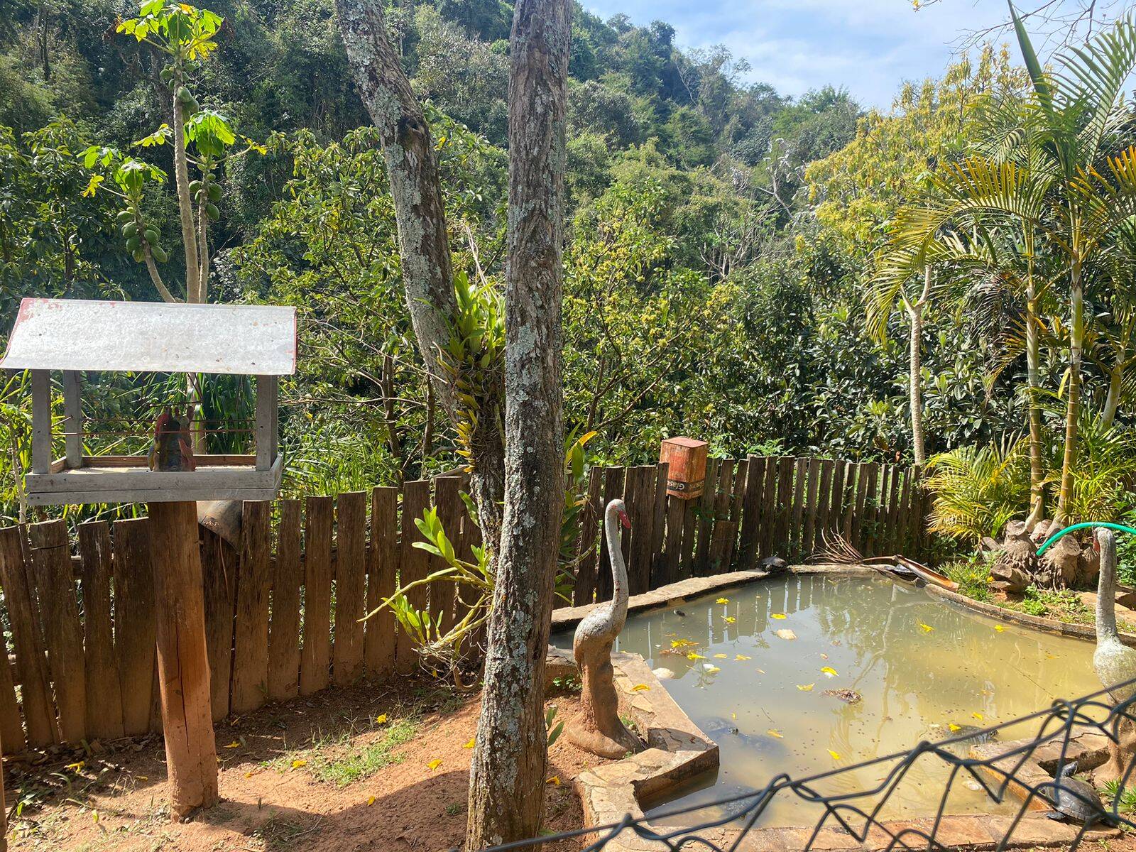 Chácara em Joanópolis/São Paulo — Ref V73DX6 — Imagem 7