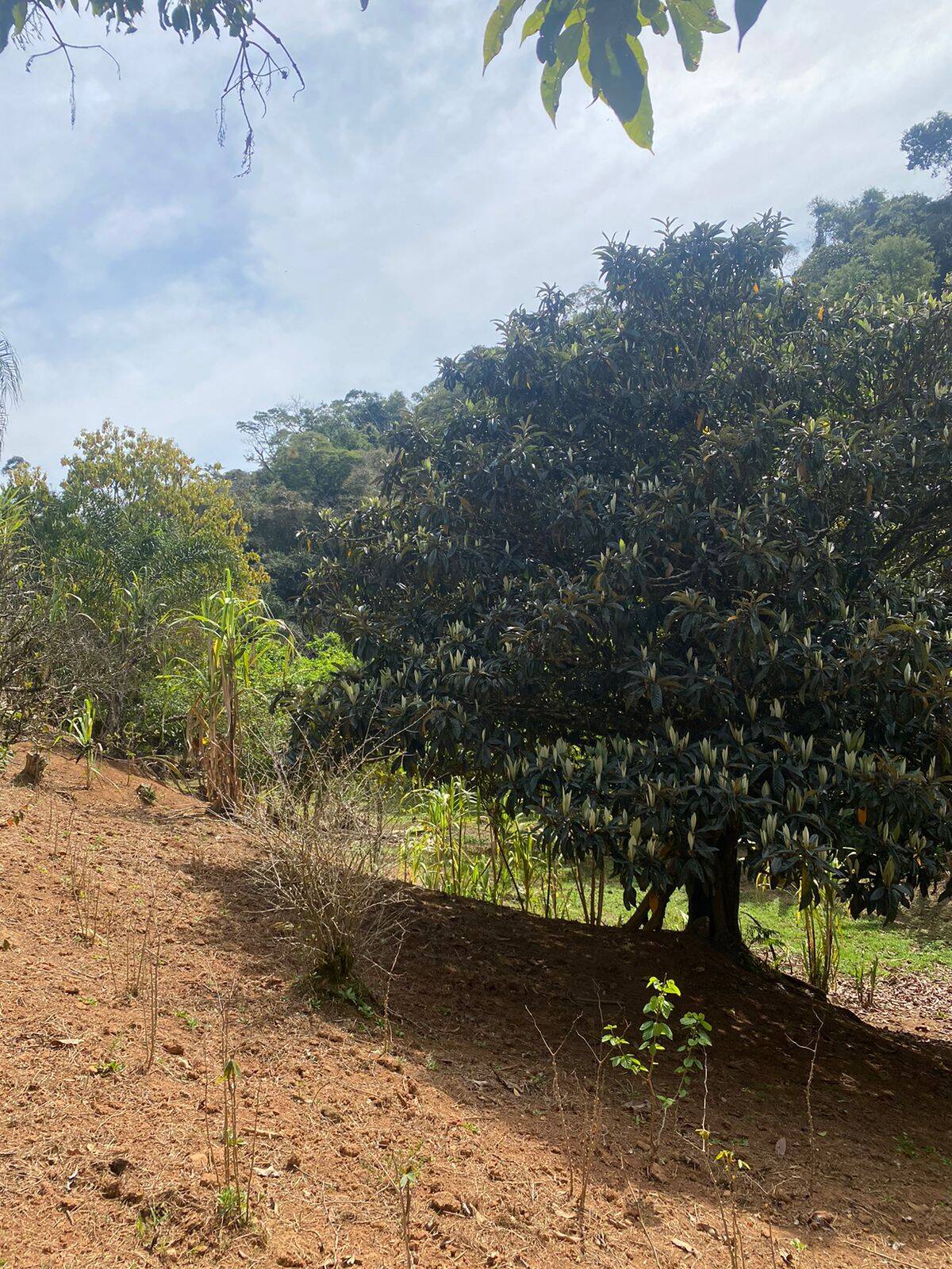 Chácara em Joanópolis/São Paulo — Ref V73DX6 — Imagem 6