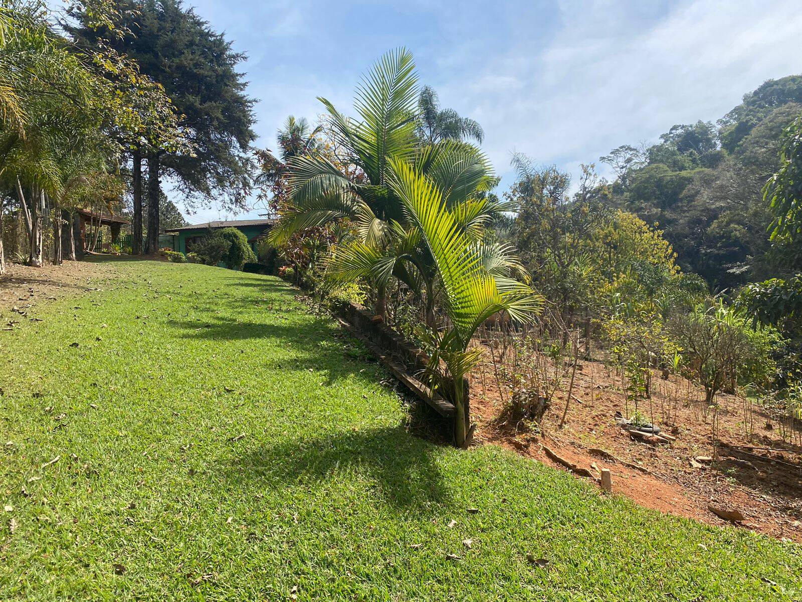 Chácara em Joanópolis/São Paulo — Ref V73DX6 — Imagem 13