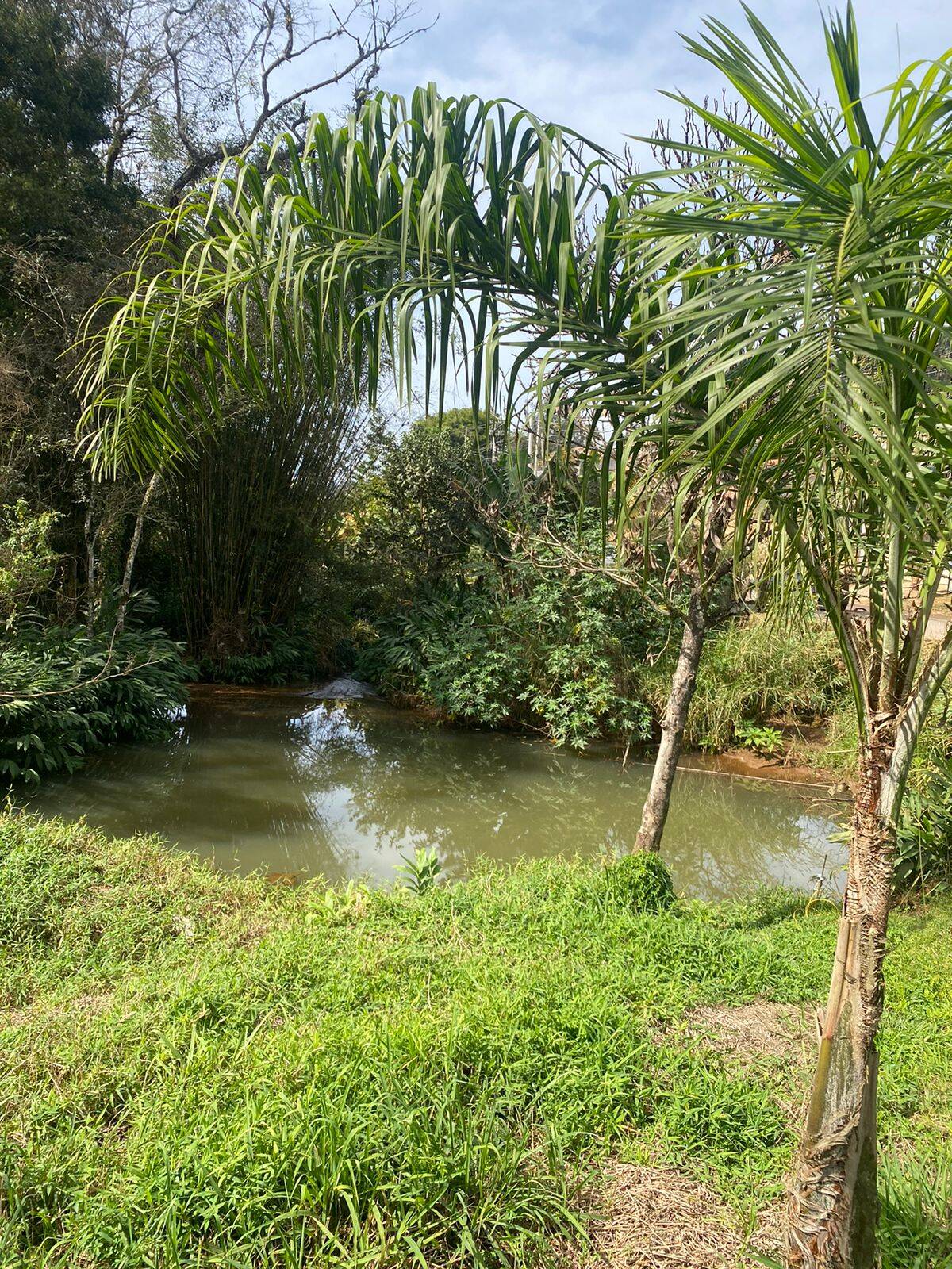Chácara em Joanópolis/São Paulo — Ref V73DX6 — Imagem 25