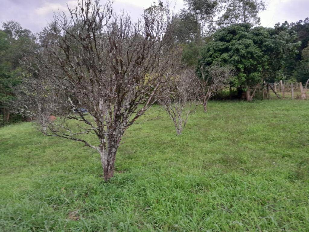 Sítio em Joanópolis/São Paulo — Ref CEMX3N — Imagem 22