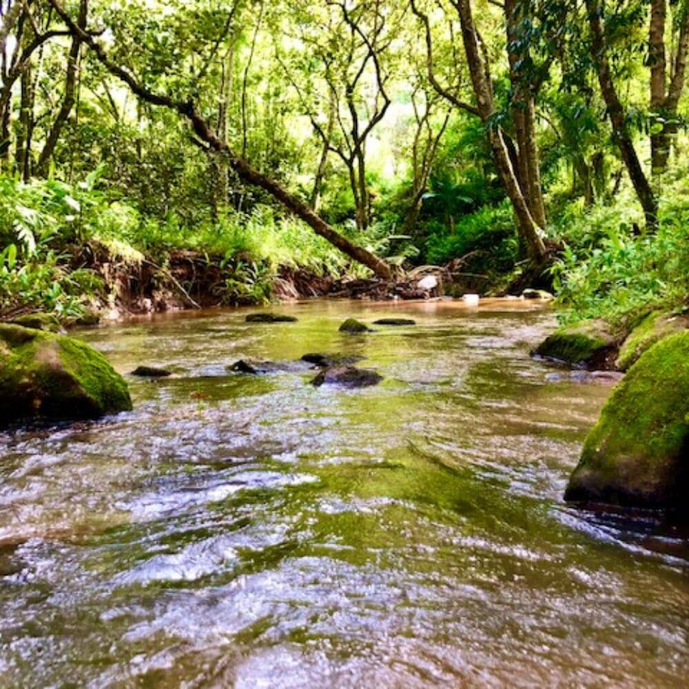 #2494 - Chácara para Venda em Joanópolis - SP