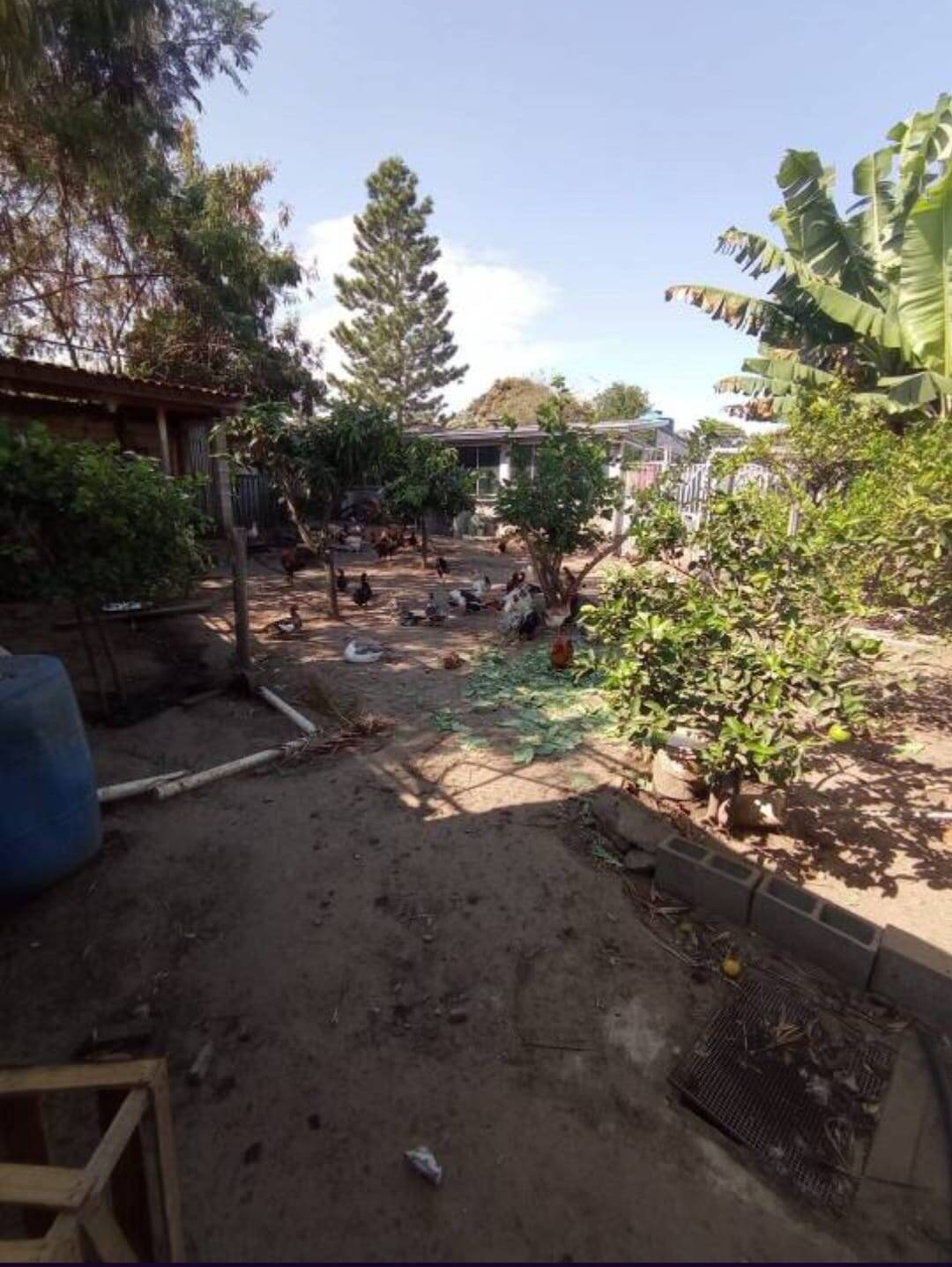 Chácara em Campinas/São Paulo — Ref VMTSYT — Imagem 10