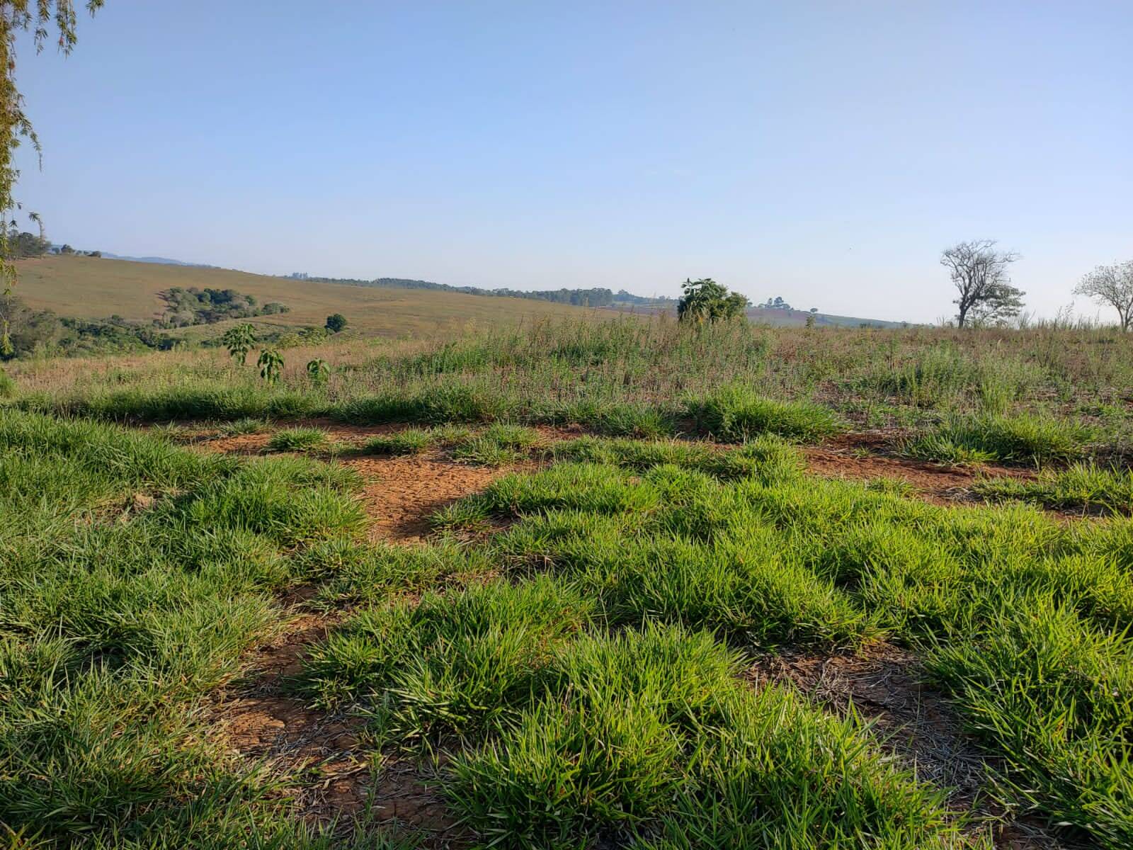 Sítio em Bragança Paulista/São Paulo — Ref O0WR9Q — Imagem 2