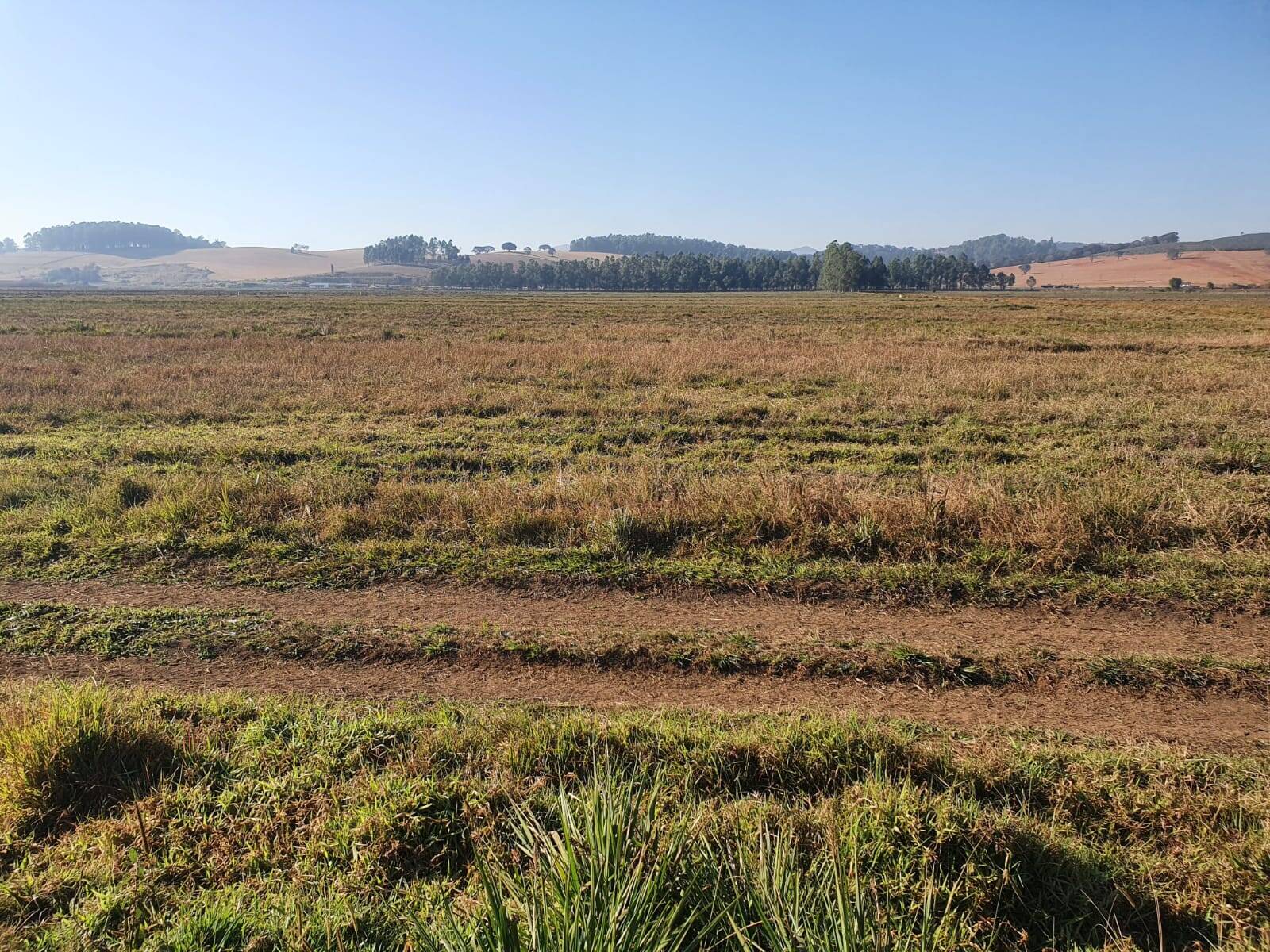 Fazenda em Pouso Alegre/Minas Gerais — Ref DJVZVO — Imagem 12