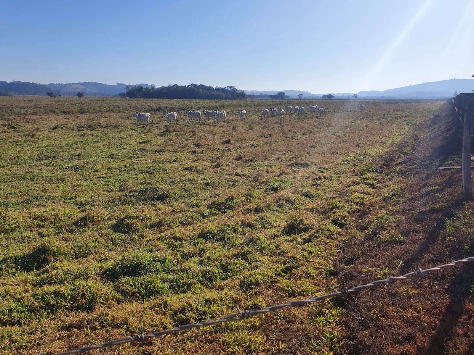 Fazenda em Pouso Alegre/Minas Gerais — Ref DJVZVO — Imagem 15