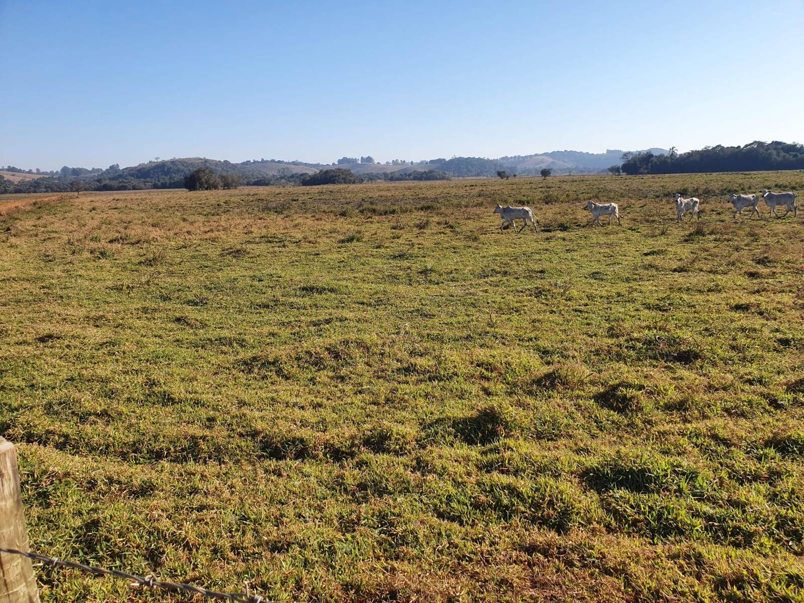 Fazenda em Pouso Alegre/Minas Gerais — Ref DJVZVO — Imagem 1