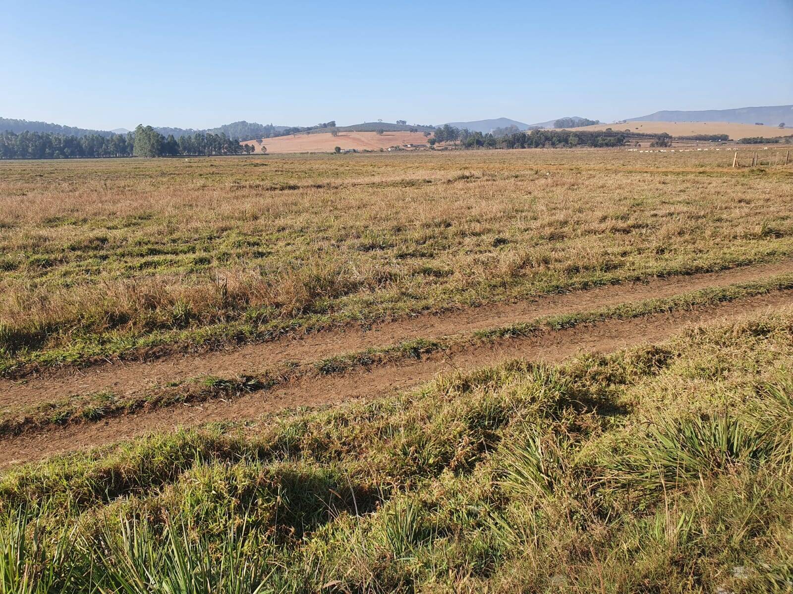 Fazenda em Pouso Alegre/Minas Gerais — Ref DJVZVO — Imagem 16