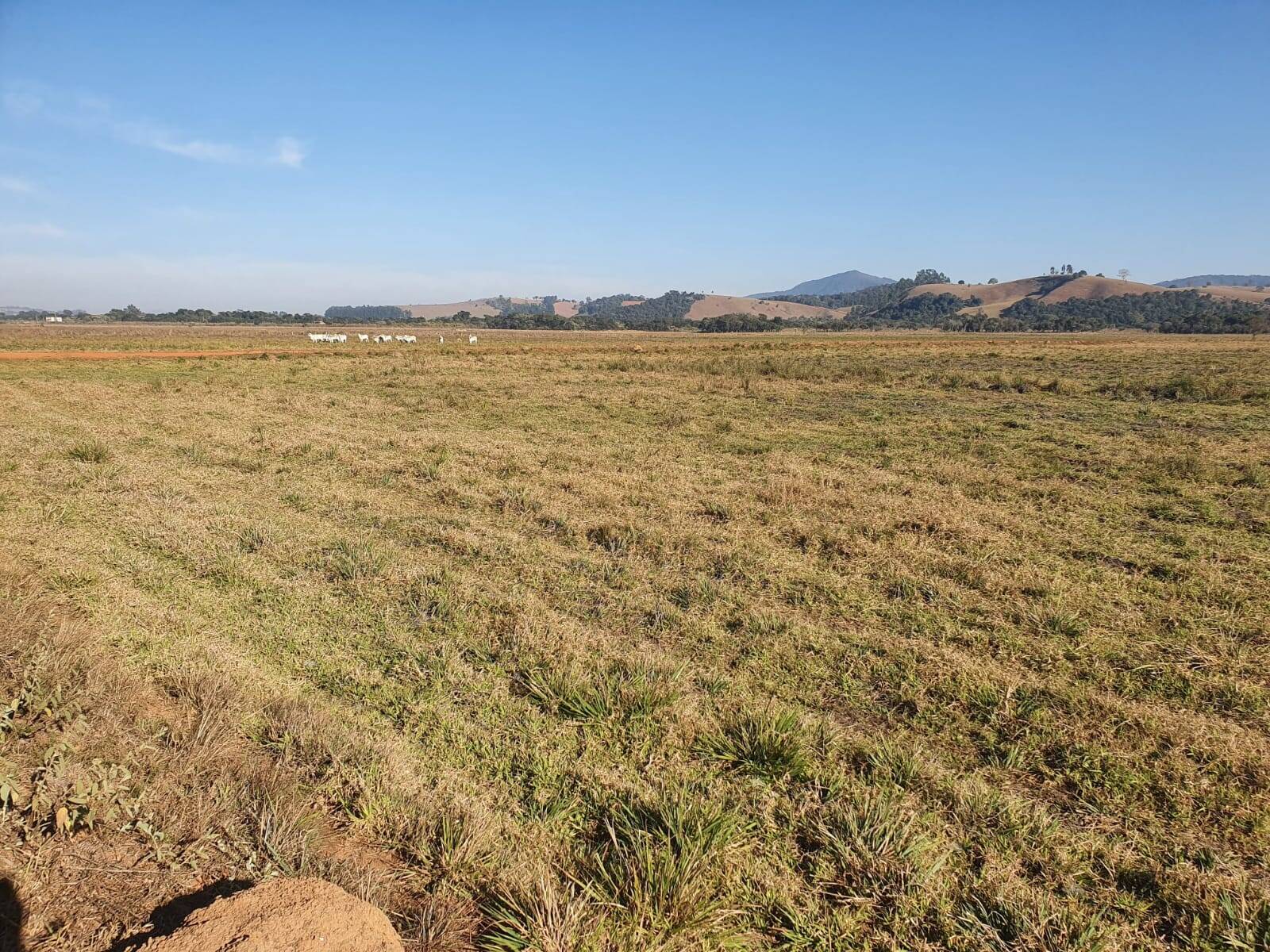 Fazenda em Pouso Alegre/Minas Gerais — Ref DJVZVO — Imagem 19